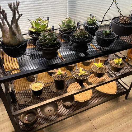 ☆送料込み☆アイアンシェルフ即購入OK 植物棚 ボタニカルシェルフ