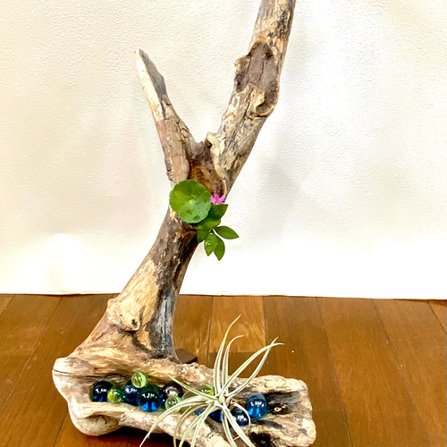 天然流木プランター 一輪挿し・花瓶・花器 SHIMS 通販 17792285