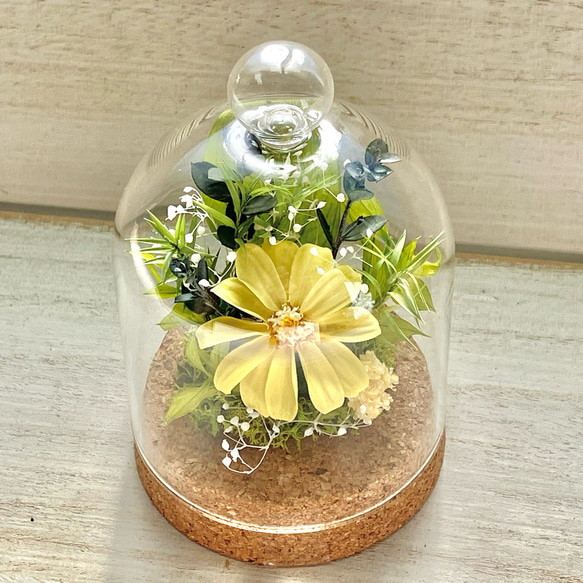 プリザーブドフラワー ジニア アレンジメント 花 ギフト ガラスドーム