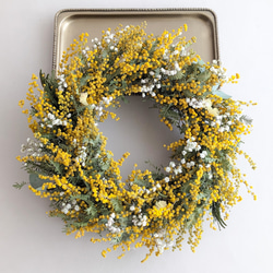 銀葉アカシアミモザのリース リース mamemona 通販 17305938｜Creema