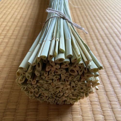 お飾り用〈中〉】乾燥真菰(まこも)葉［長さ125cm］300g 上質品 その他