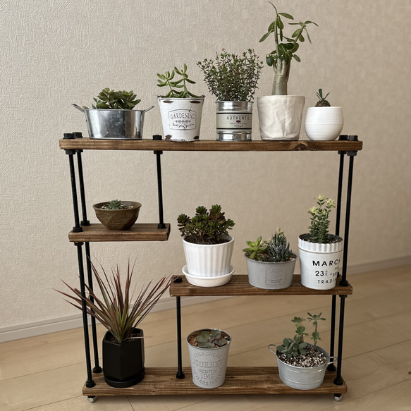 オープンシェルフ 観葉植物棚 多肉植物棚 塊根植物 飾り棚