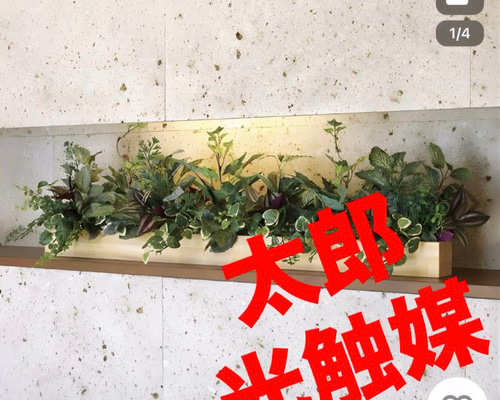 光触媒 人工観葉植物 ウォールグリーン フェイクグリーン ウッド