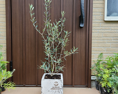 59eb2098ed14083a64d615f52a22e6