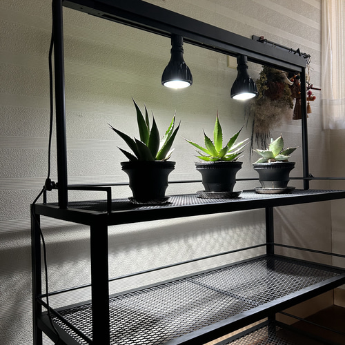 ☆送料込み☆アイアンシェルフ ライトレール付植物棚 ボタニカル