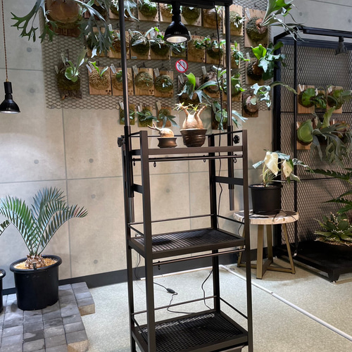 アイアン植物棚 受注製作 棚・シェルフ・ラック アイアン工房