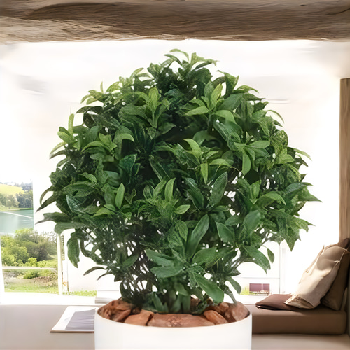 光触媒 人工観葉植物 ウォールグリーン フェイクグリーン ベイリーフ