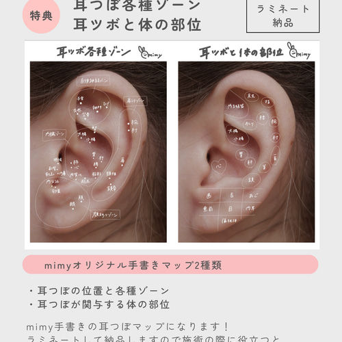 耳ツボジュエリー | 耳つぼ辞典mini vol.2 | 耳つぼマップ イヤリング