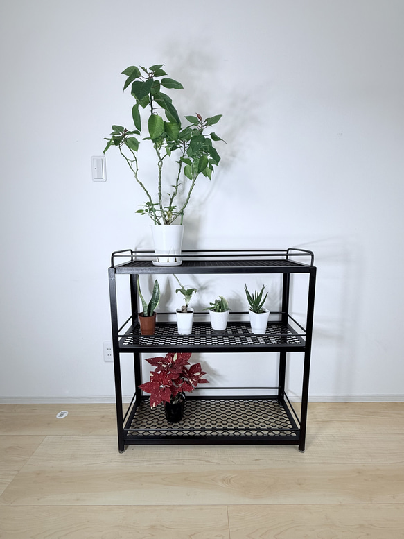 ボタニカルシェルフ アイアン 観葉植物棚 アガベ育成棚 観葉植物 棚