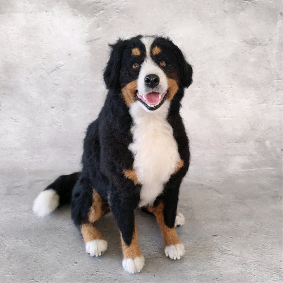 笑顔のバーニーズマウンテンドッグさん 羊毛フェルト 羊毛わんこ 福や