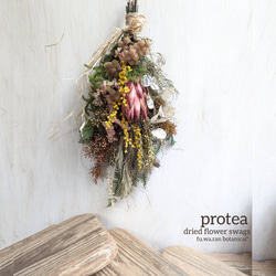 ♣️2ヶ以上購入でプレゼント!!♣️Lサイズ* ユーカリポポラスの