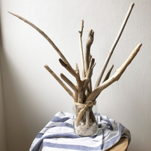 ryuboku.】流木オブジェ 流木インテリア サンゴと貝殻の海を感じる置物