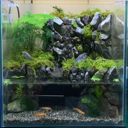 滝のあるアクアテラリウム その他アート city 通販 7888987｜Creema