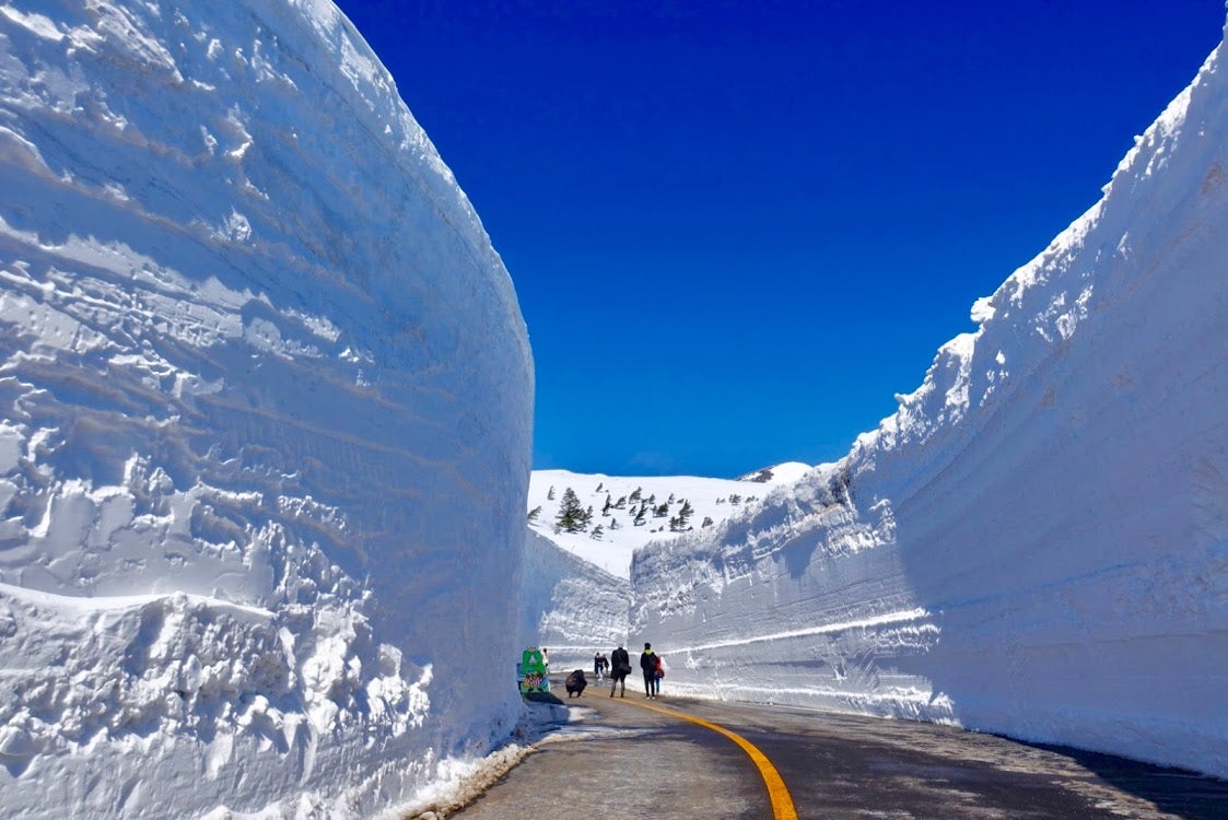 宮城県蔵王町 Miyagi Zao | 蔵王エコーライン雪の壁ウォーク Miyagi