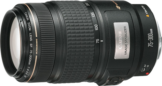 EF75-300mm F4-5.6 IS USMで広がる写真の可能性 - 魅惑の中望遠