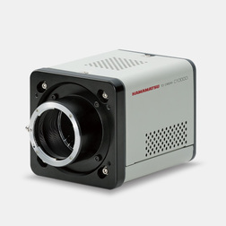 TDI camera C10000-801 | Hamamatsu Photonics