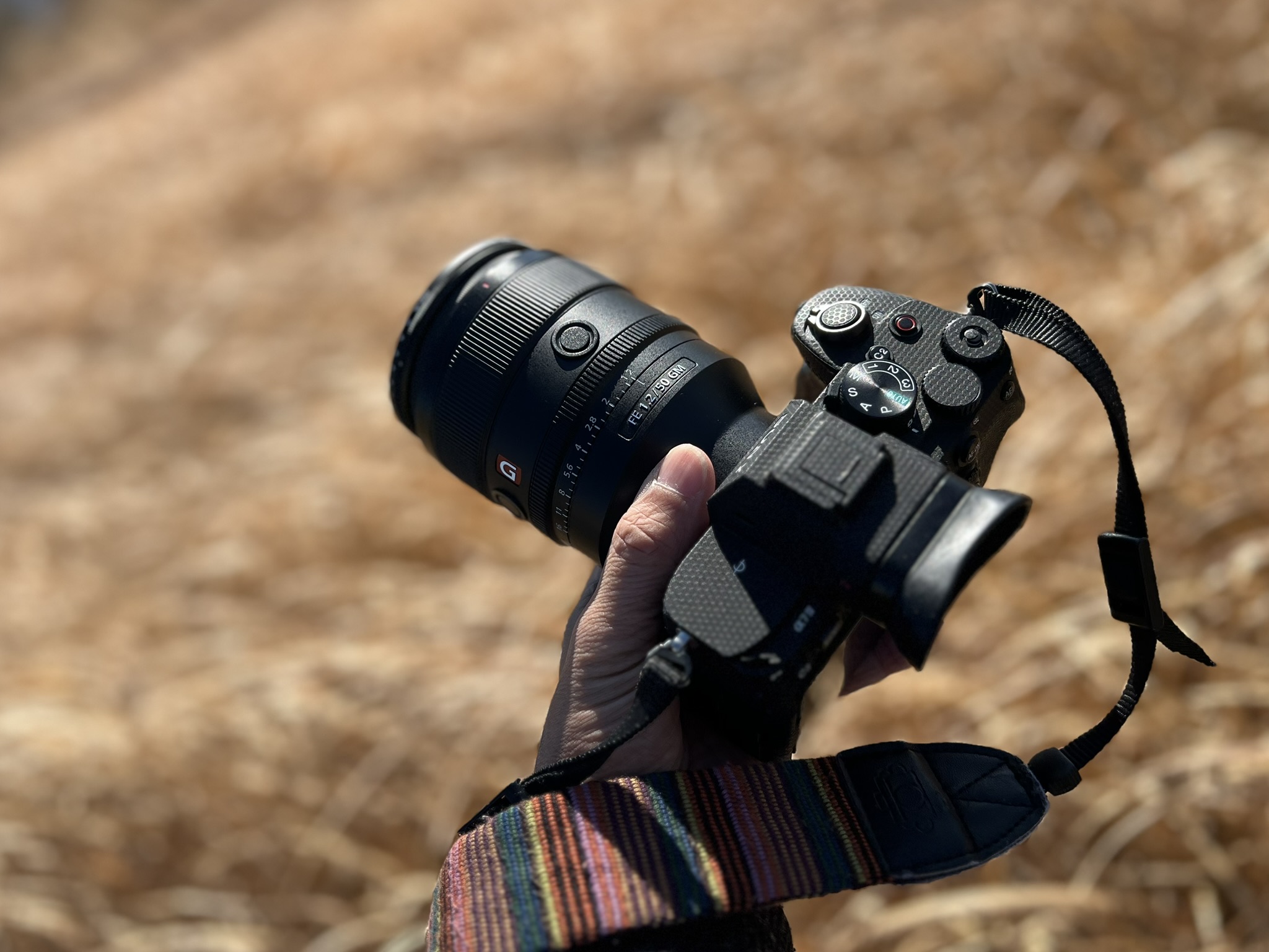 SONY FE 50mm f1.2 GM という「神レンズ」に浸る（実写レビュー