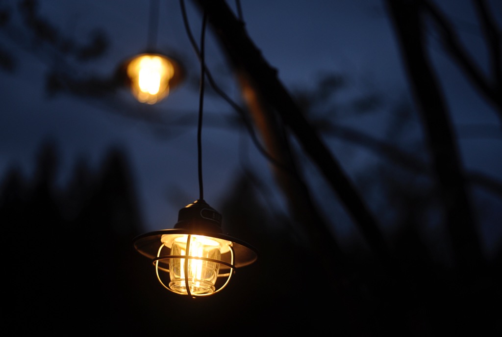 見た目に加えて性能も優秀だったベアボーンズのエジソンストリング