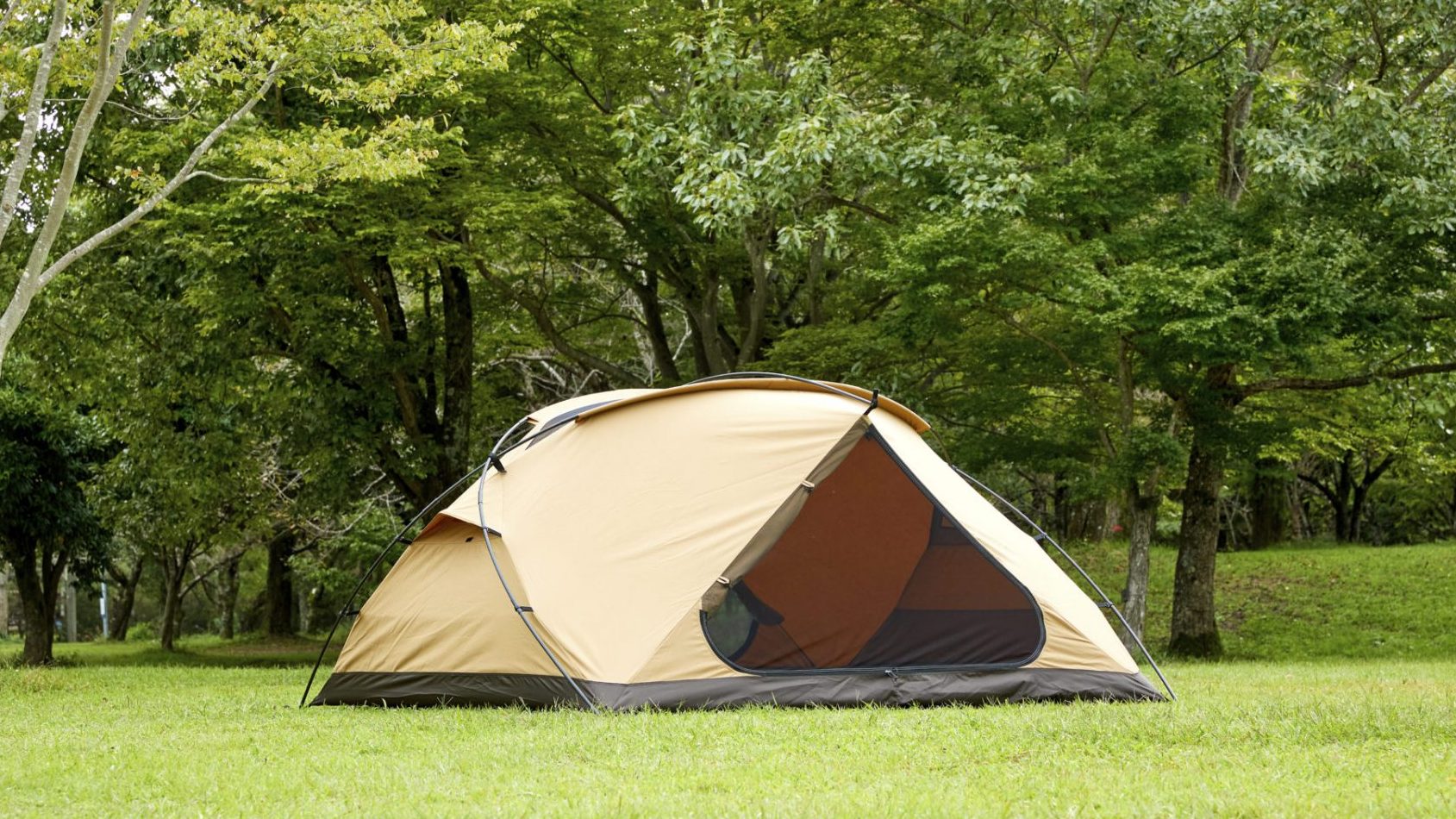 6/13】ビジョンピークスの「TCルーテント ファミリー」抽選販売