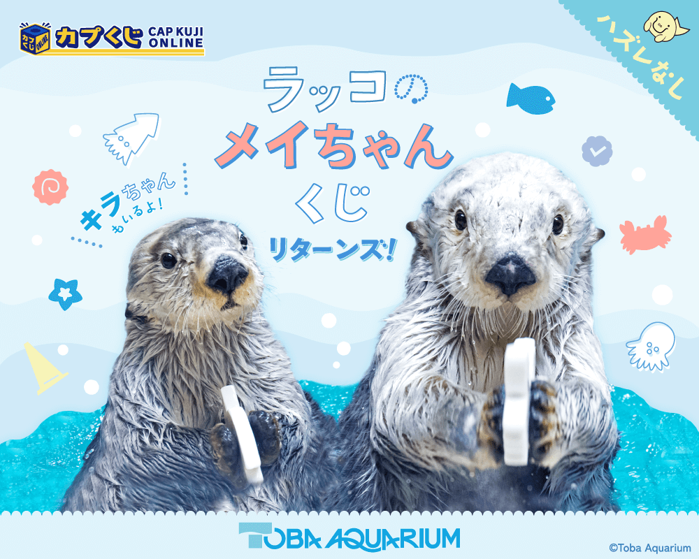カプくじ×鳥羽水族館 ラッコのメイちゃんくじ リターンズ！ - くじポータル