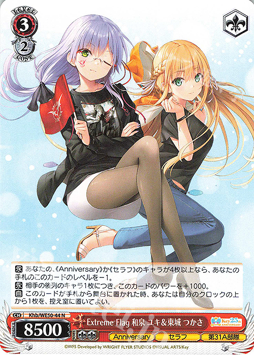 傷】 N Extreme Flag 和泉 ユキ＆東城 つかさ 販売 | プレミアム