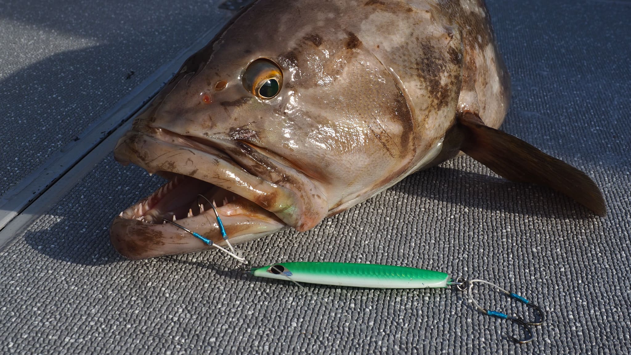 QUICK ZERO1 – CB ONE