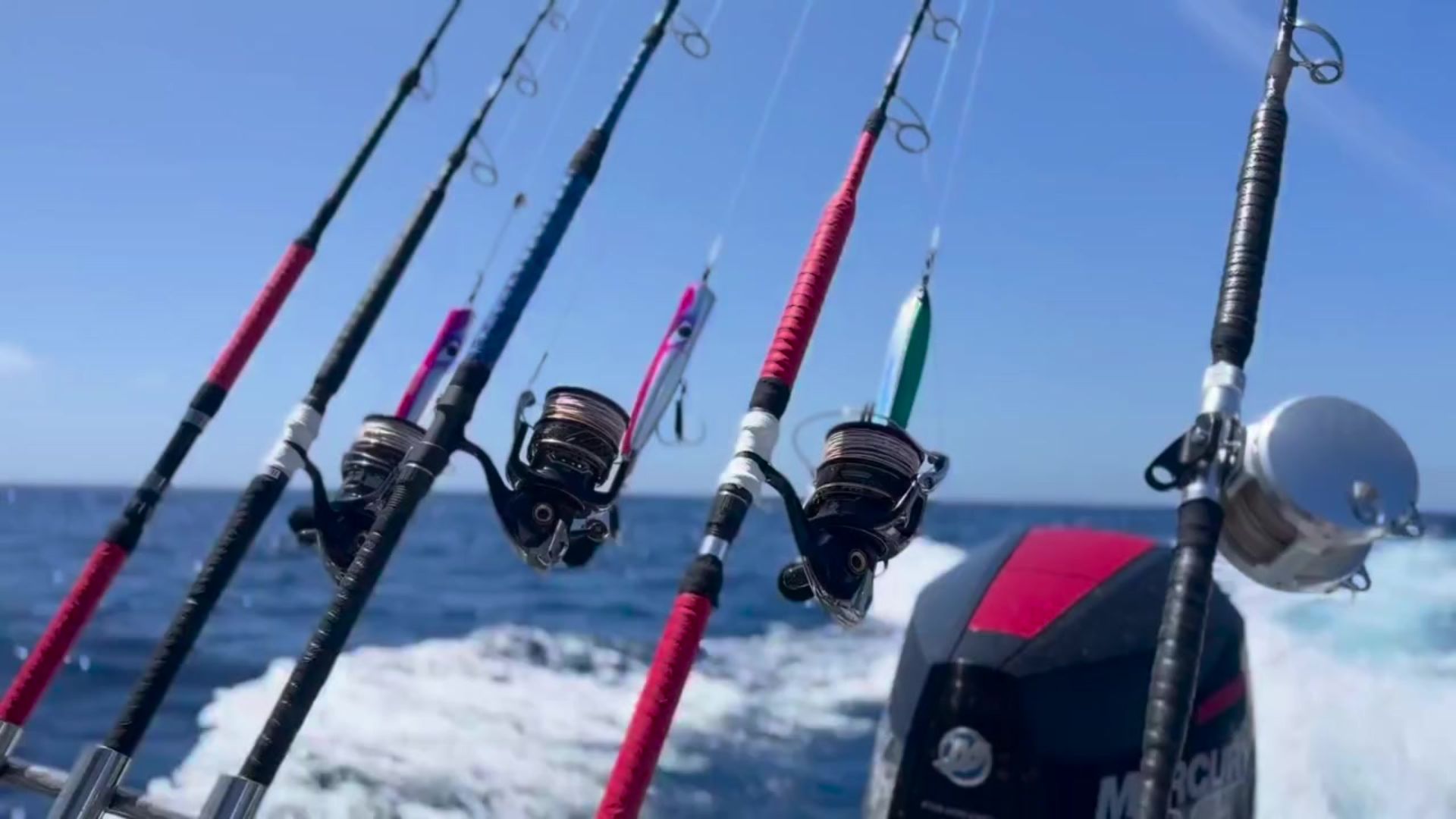 STANDUP TUNA – CB ONE