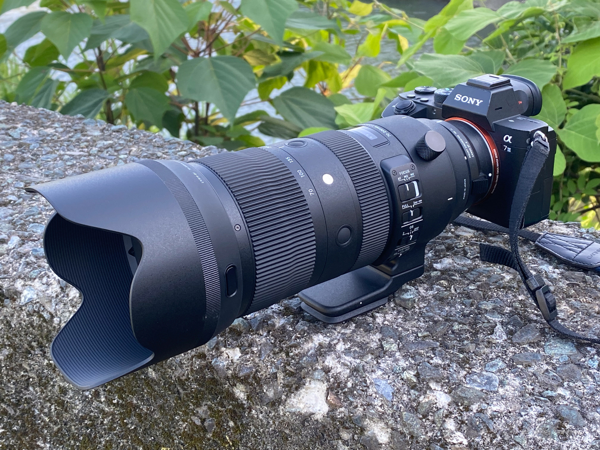 SIGMA 70-200mm F2.8 DG OS HSM Sportsを購入する。 - 変なカメラ好き