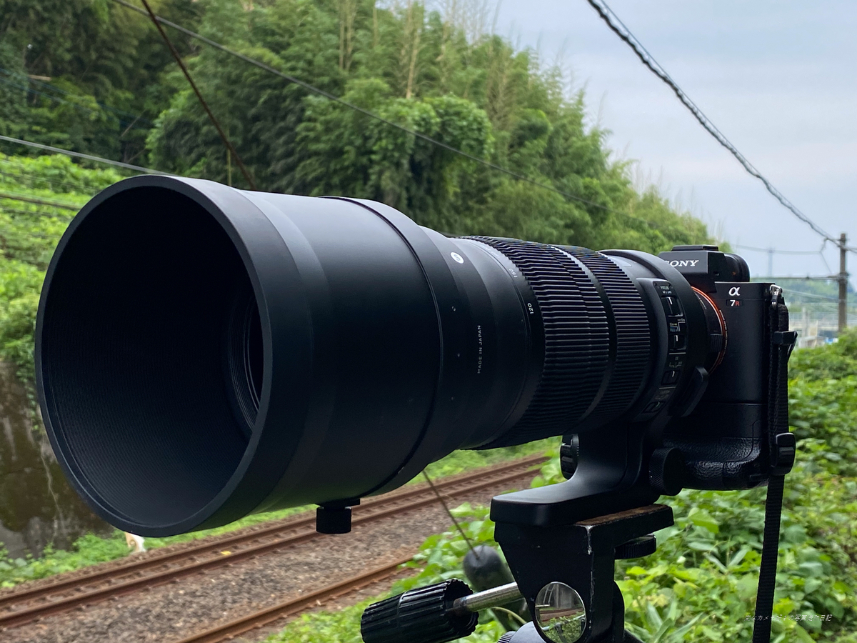 SIGMA 120-300mm F2.8 DG OS HSM Sportsを購入する。 - 変なカメラ好き