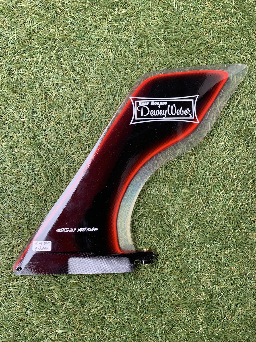 伝統的なハチェットフィン - シーコング店長ブログ