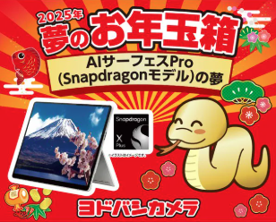 福袋】ヨドバシカメラドットコム 2025年 夢のお年玉箱 受付開始。予想