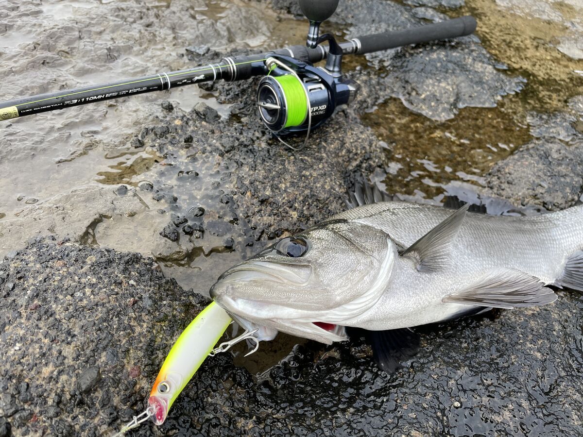 がまかつ】ラグゼ チータ R3 110MH インプレ - 釣れ然なるままに