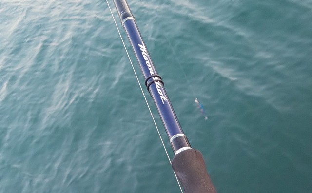 シマノ 16ムーンショット S906M インプレ - ルアりずむ