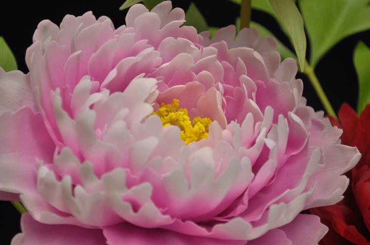工芸菓子が 完成しました！ - 御菓子司 むらもと