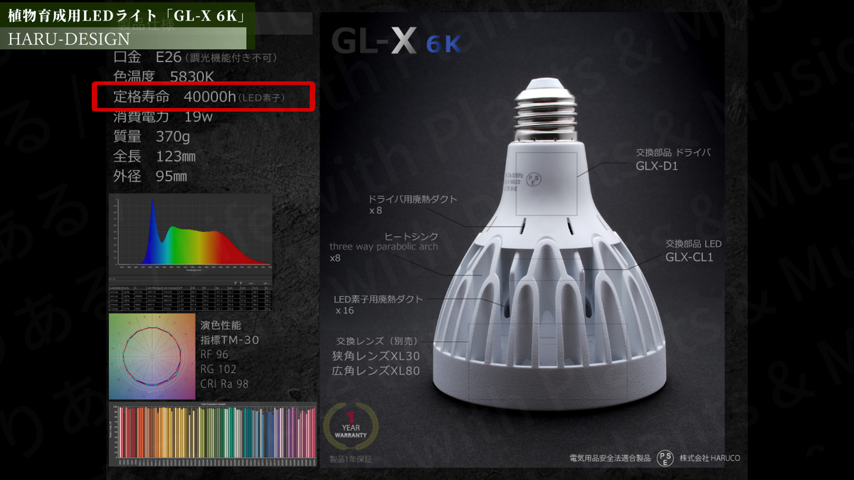コスパ最強】植物育成用LEDライト「GL-X 6K」をご紹介！安い！明るい