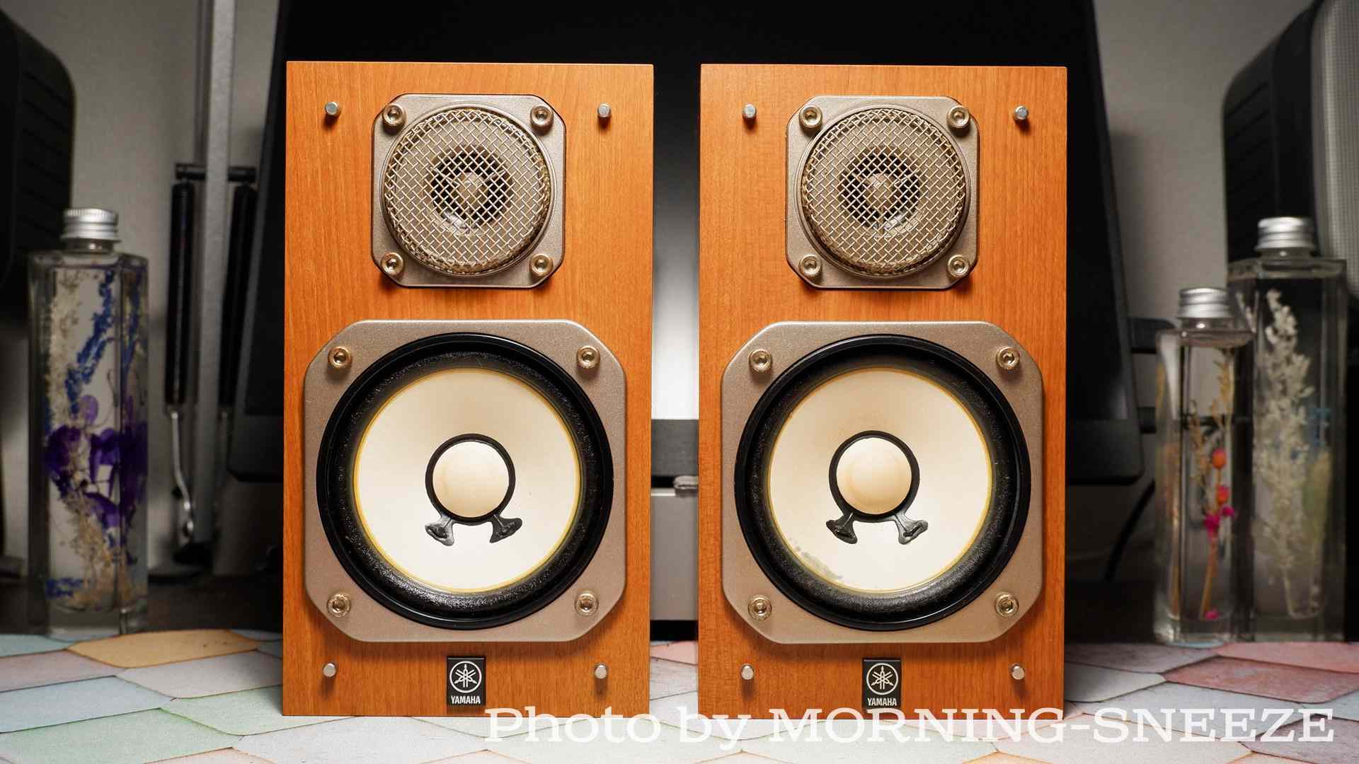 YAMAHA NS-10MMT をメンテナンスする - いつか消える文章