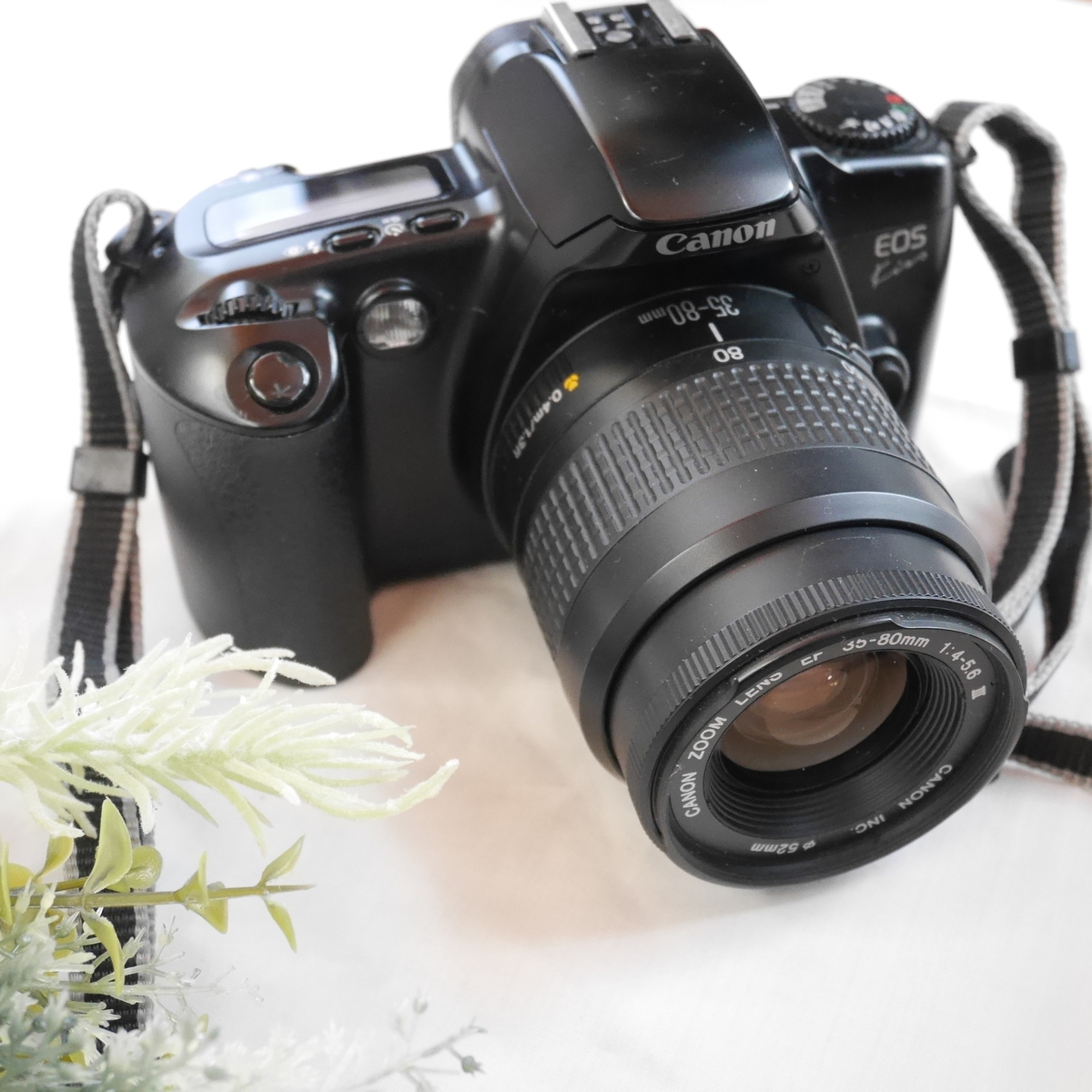 CANON EOS KISSの使い方♪ - 〔BLOG〕パピオカメラ│フィルムカメラのお店