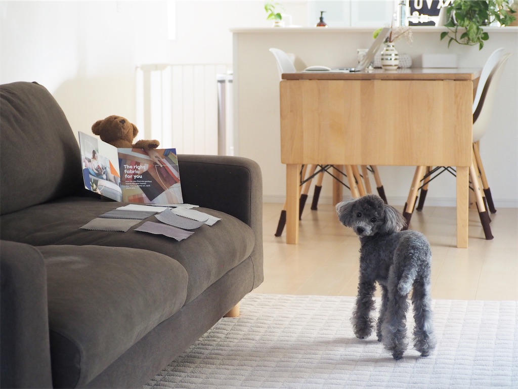 諦めていた無印良品のソファーカバーが好みのカラーに変身する♡ - mai