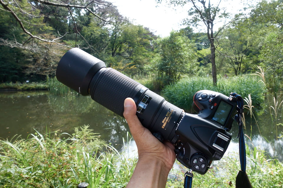 秀逸なマイナーレンズ、AI AF Micro-Nikkor 200mm f/4D IF-ED。ニコン