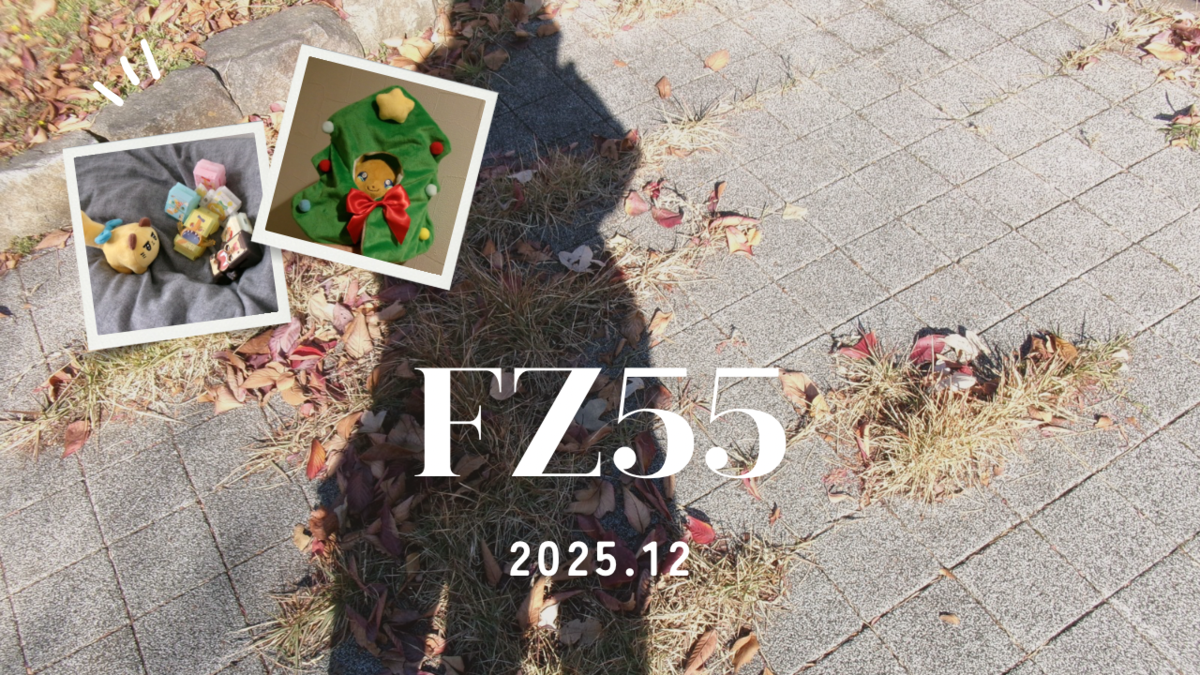 FZ55スナップ 2025年12月まとめ - ドールとぬいぐるみ日記
