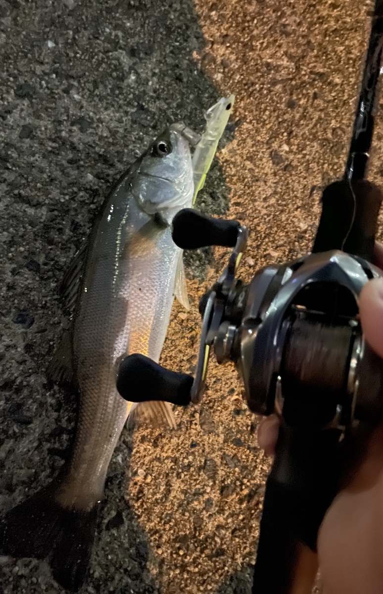 BlueCurrent 78 NANO Bait のインプレ - ft ブログ