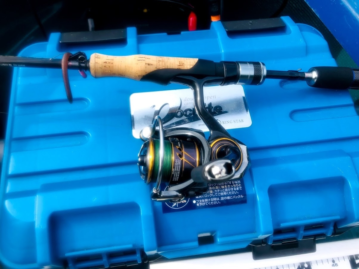 ダイワ21 カルディア FC LT2000Sを使ってみて！ - 房総ダム湖の旅人