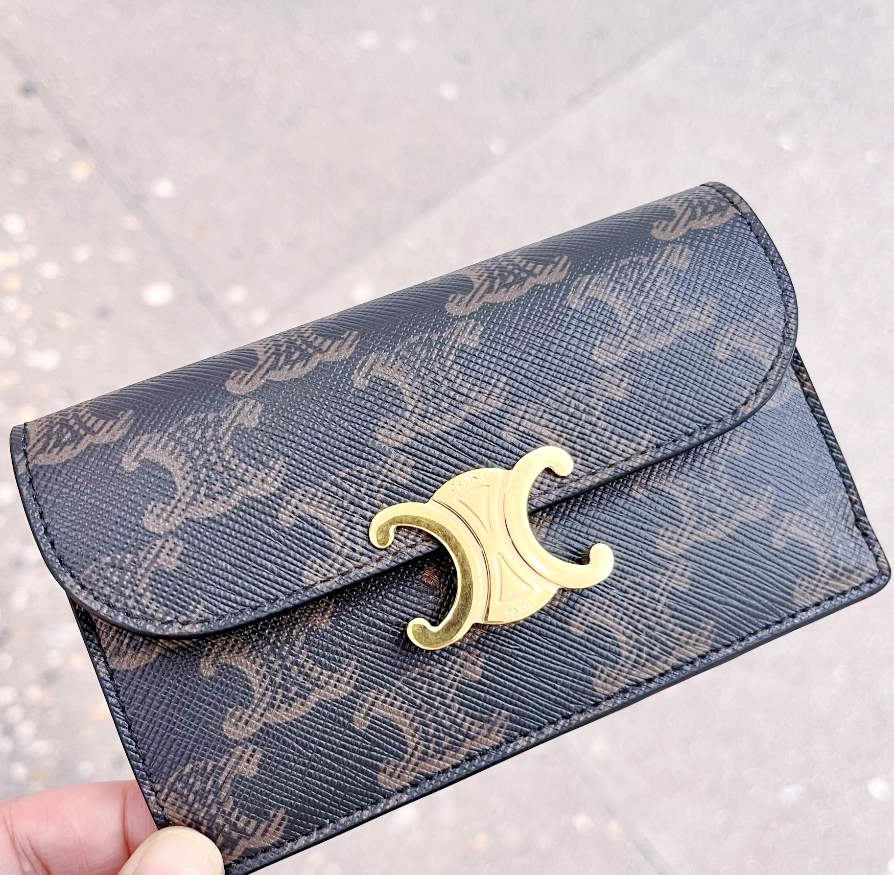 CELINE ☆ フラップ ロングカードホルダー/トリオンフキャンバス