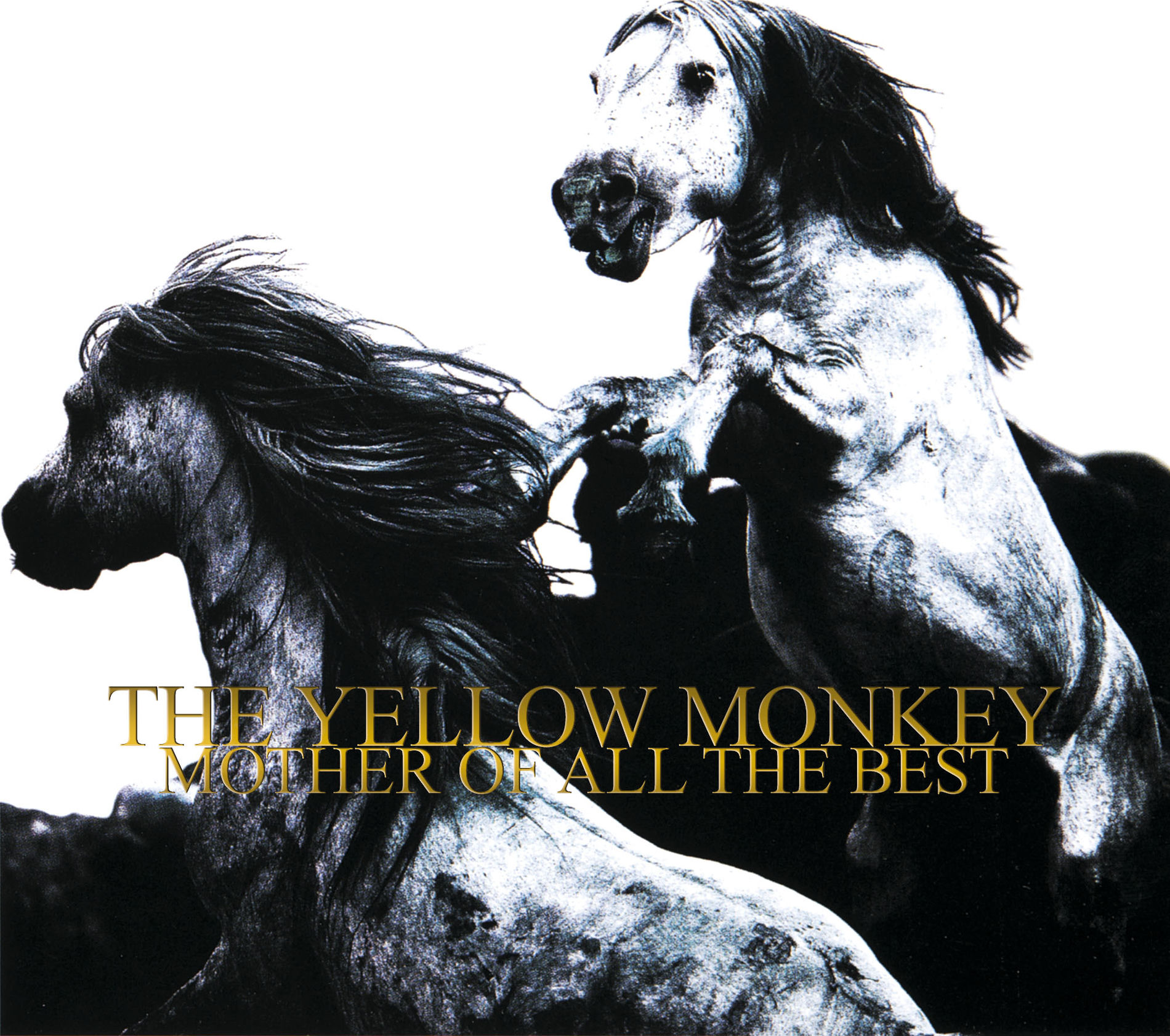 THE YELLOW MONKEY: albums, songs, concerts | Deezer