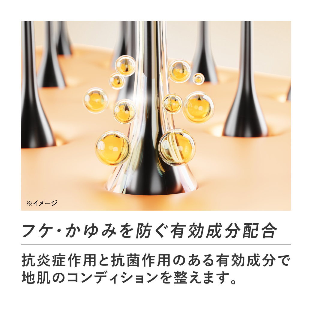 アンファースカルプD公式通販 | 予防医学のアンファーストア