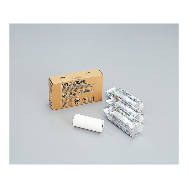 三菱電機 プリンター用紙(三菱電機プリンター用) 感熱ロール紙 110mm