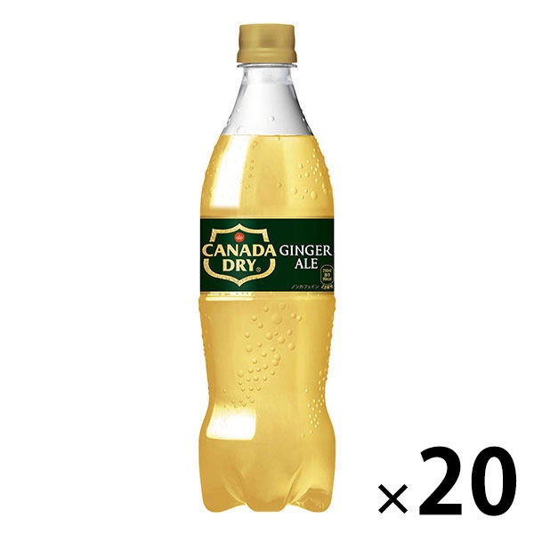 炭酸飲料】 カナダドライ ジンジャーエール 700ml 1箱（20本入