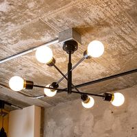 TIC デボン 6灯シーリングライト ブラック TC-1014-BK 1台（直送品