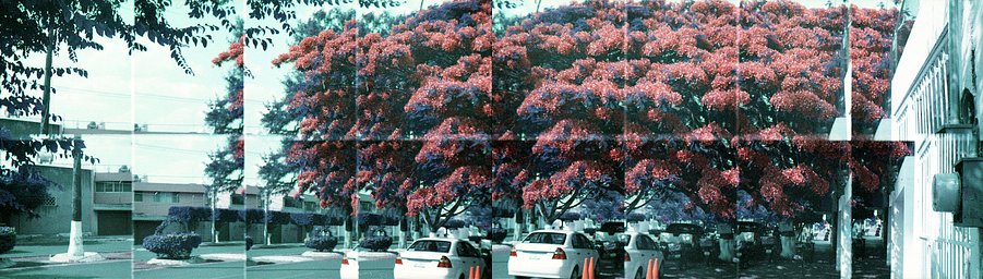 カメラ: Fujifilm Rensha Cardia BYU-N 16 · Lomography