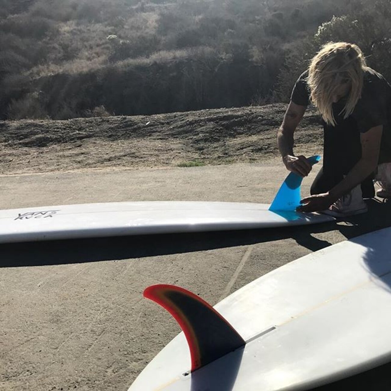 アレックスノストフィン - シーコング店長ブログ